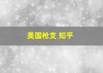 美国枪支 知乎